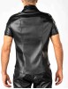 Maskuline R�ckenpartie Koia