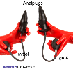 Gr��e Analplugs Aufblasbar